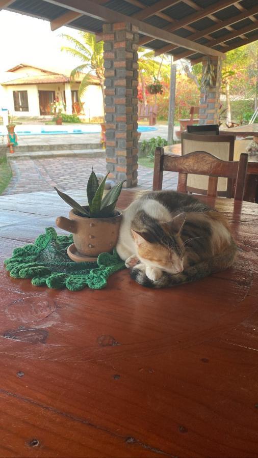 Pousada Sitio Parque Dos Lencois Otel Barreirinhas Dış mekan fotoğraf