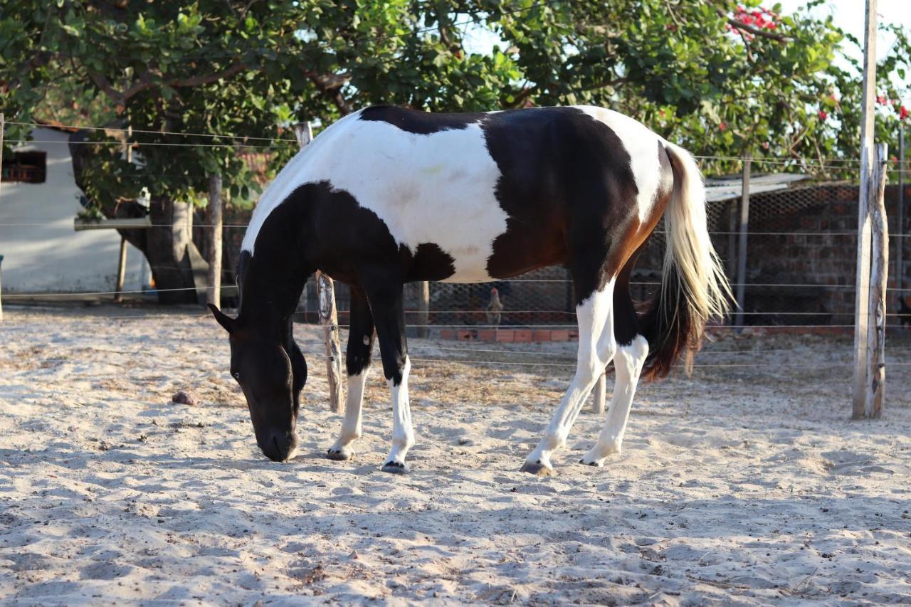 Pousada Sitio Parque Dos Lencois Barreirinhas Dış mekan fotoğraf